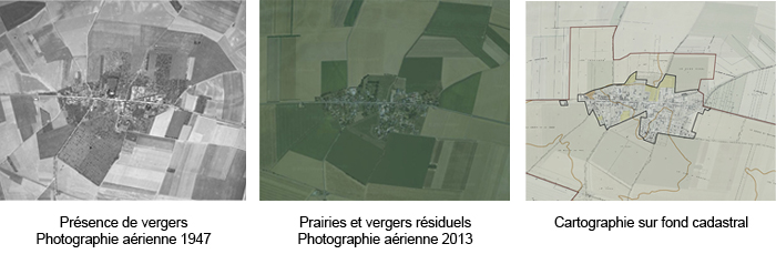 Evolution des prairies et des vergers aux abords du village de Thil-en-Vexin